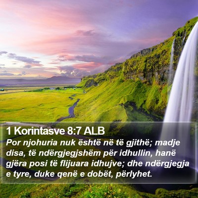1 Korintasve 8:7 ALB Bible Verse Image