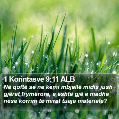 1 Korintasve 9:11 ALB Bible Verse Image