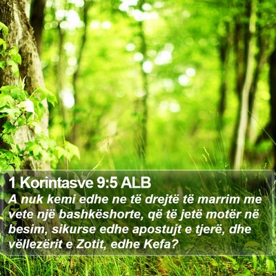 1 Korintasve 9:5 ALB Bible Verse Image