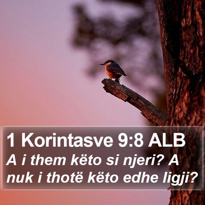 1 Korintasve 9:8 ALB Bible Verse Image