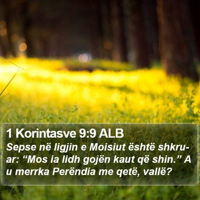 1 Korintasve 9:9 ALB Bible Verse Image