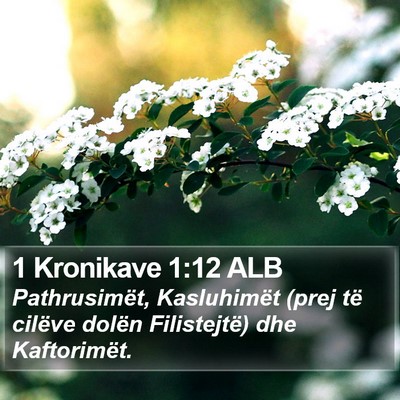 1 Kronikave 1:12 ALB Bible Verse Image