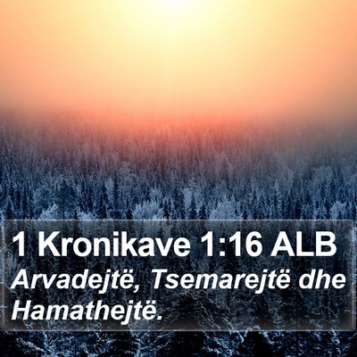 1 Kronikave 1:16 ALB Bible Verse Image
