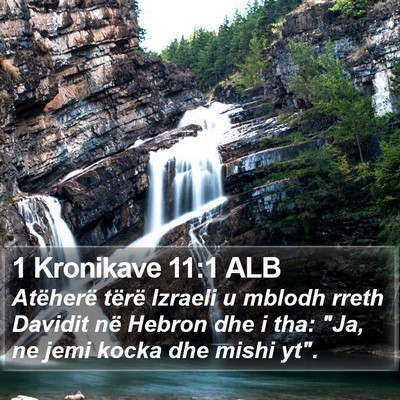 1 Kronikave 11:1 ALB Bible Verse Image