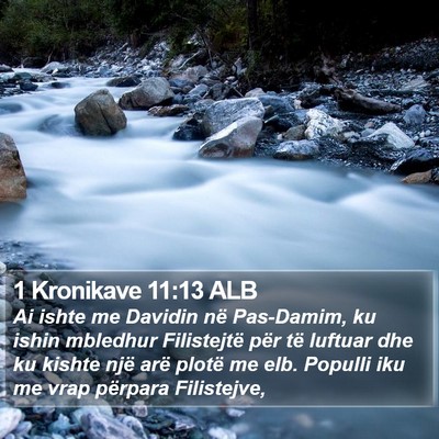 1 Kronikave 11:13 ALB Bible Verse Image