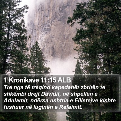 1 Kronikave 11:15 ALB Bible Verse Image