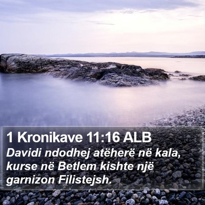1 Kronikave 11:16 ALB Bible Verse Image