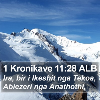 1 Kronikave 11:28 ALB Bible Verse Image