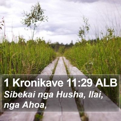 1 Kronikave 11:29 ALB Bible Verse Image