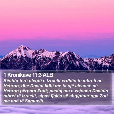 1 Kronikave 11:3 ALB Bible Verse Image