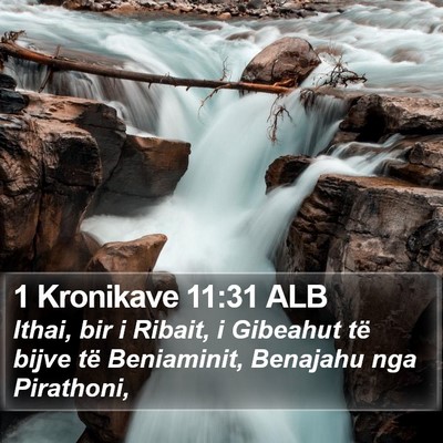 1 Kronikave 11:31 ALB Bible Verse Image