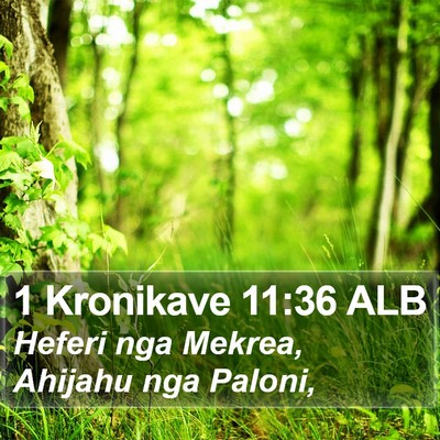 1 Kronikave 11:36 ALB Bible Verse Image