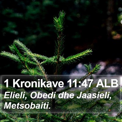 1 Kronikave 11:47 ALB Bible Verse Image