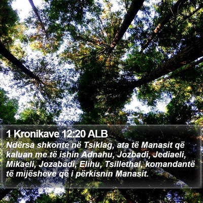 1 Kronikave 12:20 ALB Bible Verse Image