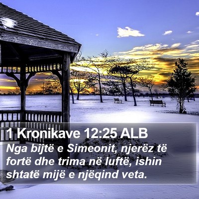 1 Kronikave 12:25 ALB Bible Verse Image