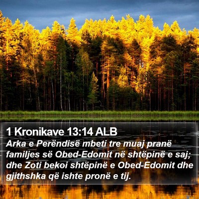 1 Kronikave 13:14 ALB Bible Verse Image