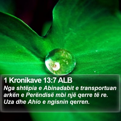 1 Kronikave 13:7 ALB Bible Verse Image