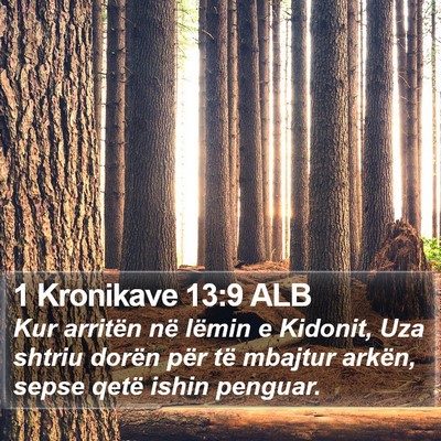 1 Kronikave 13:9 ALB Bible Verse Image