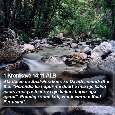1 Kronikave 14:11 ALB Bible Verse Image