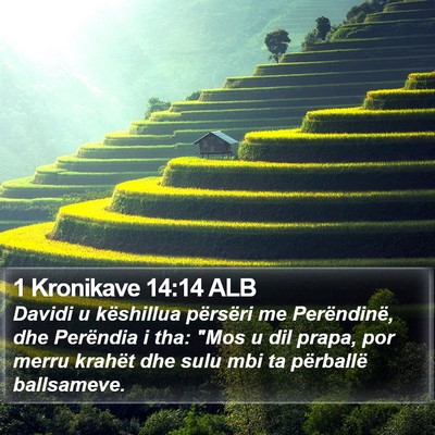 1 Kronikave 14:14 ALB Bible Verse Image