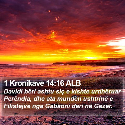 1 Kronikave 14:16 ALB Bible Verse Image