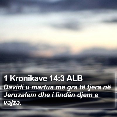 1 Kronikave 14:3 ALB Bible Verse Image