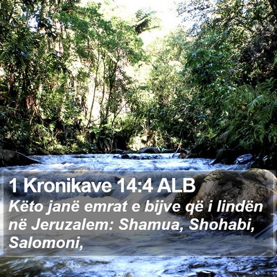 1 Kronikave 14:4 ALB Bible Verse Image