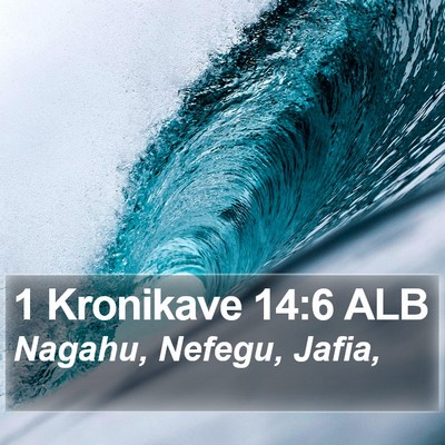 1 Kronikave 14:6 ALB Bible Verse Image