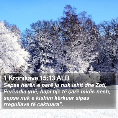1 Kronikave 15:13 ALB Bible Verse Image