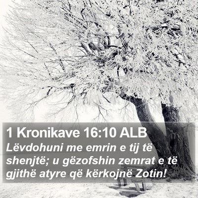 1 Kronikave 16:10 ALB Bible Verse Image