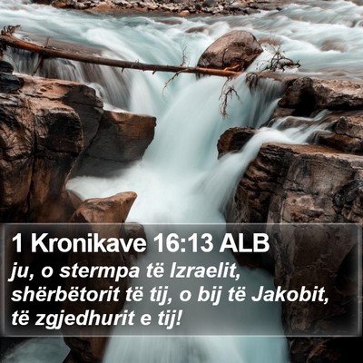 1 Kronikave 16:13 ALB Bible Verse Image