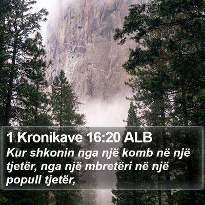 1 Kronikave 16:20 ALB Bible Verse Image