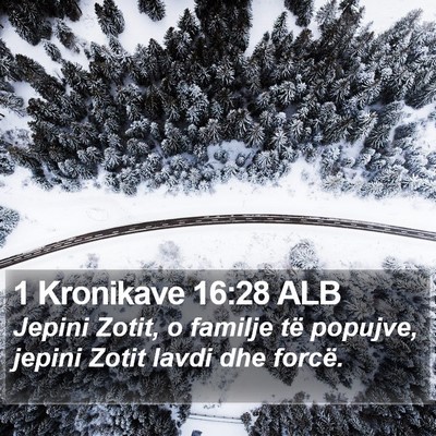 1 Kronikave 16:28 ALB Bible Verse Image