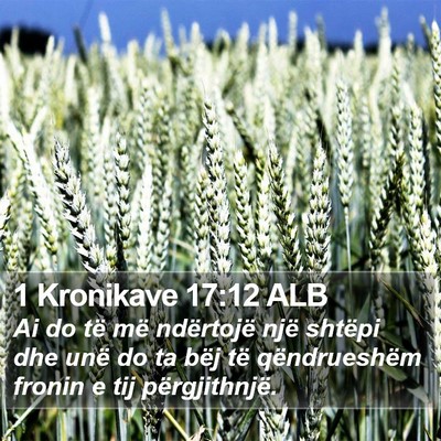 1 Kronikave 17:12 ALB Bible Verse Image