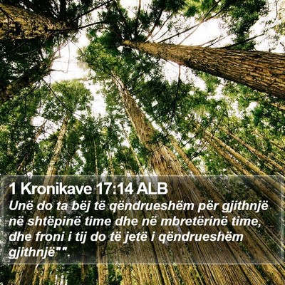 1 Kronikave 17:14 ALB Bible Verse Image