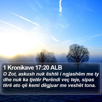 1 Kronikave 17:20 ALB Bible Verse Image