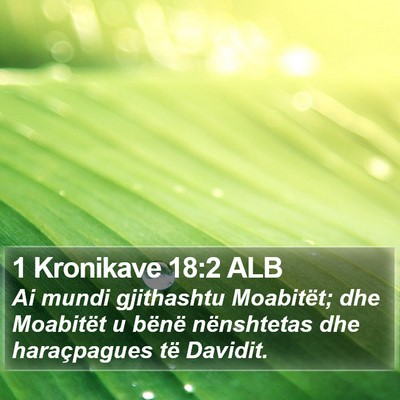 1 Kronikave 18:2 ALB Bible Verse Image