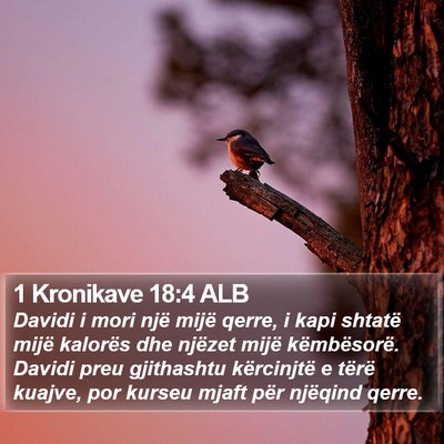 1 Kronikave 18:4 ALB Bible Verse Image