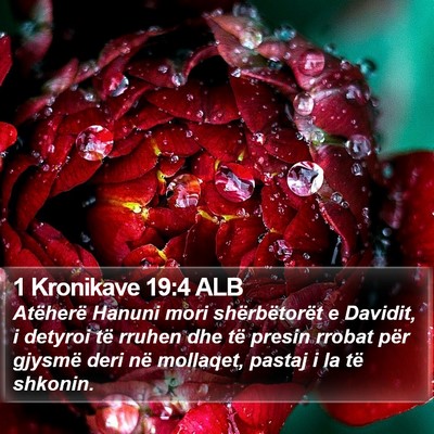 1 Kronikave 19:4 ALB Bible Verse Image