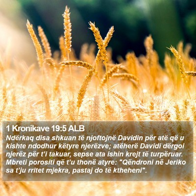 1 Kronikave 19:5 ALB Bible Verse Image