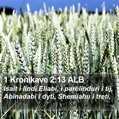 1 Kronikave 2:13 ALB Bible Verse Image
