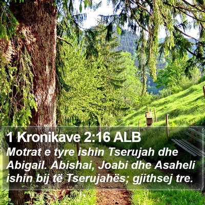 1 Kronikave 2:16 ALB Bible Verse Image