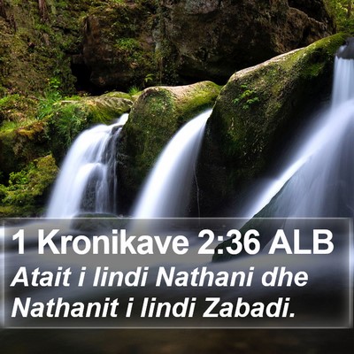 1 Kronikave 2:36 ALB Bible Verse Image