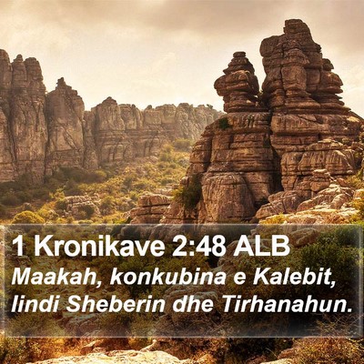 1 Kronikave 2:48 ALB Bible Verse Image