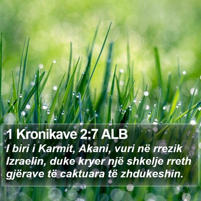 1 Kronikave 2:7 ALB Bible Verse Image