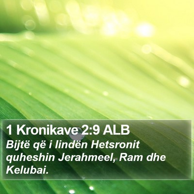 1 Kronikave 2:9 ALB Bible Verse Image