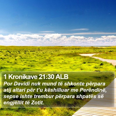 1 Kronikave 21:30 ALB Bible Verse Image