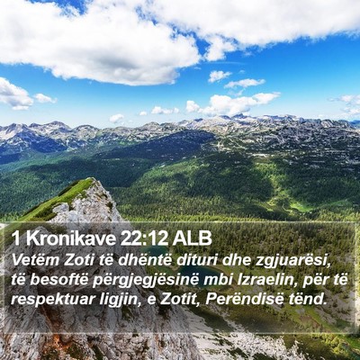1 Kronikave 22:12 ALB Bible Verse Image