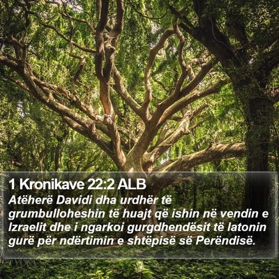 1 Kronikave 22:2 ALB Bible Verse Image