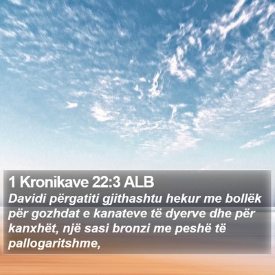 1 Kronikave 22:3 ALB Bible Verse Image